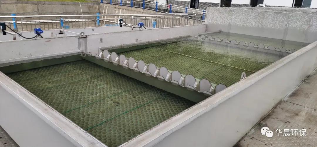 珍惜水、愛(ài)護水(圖5)